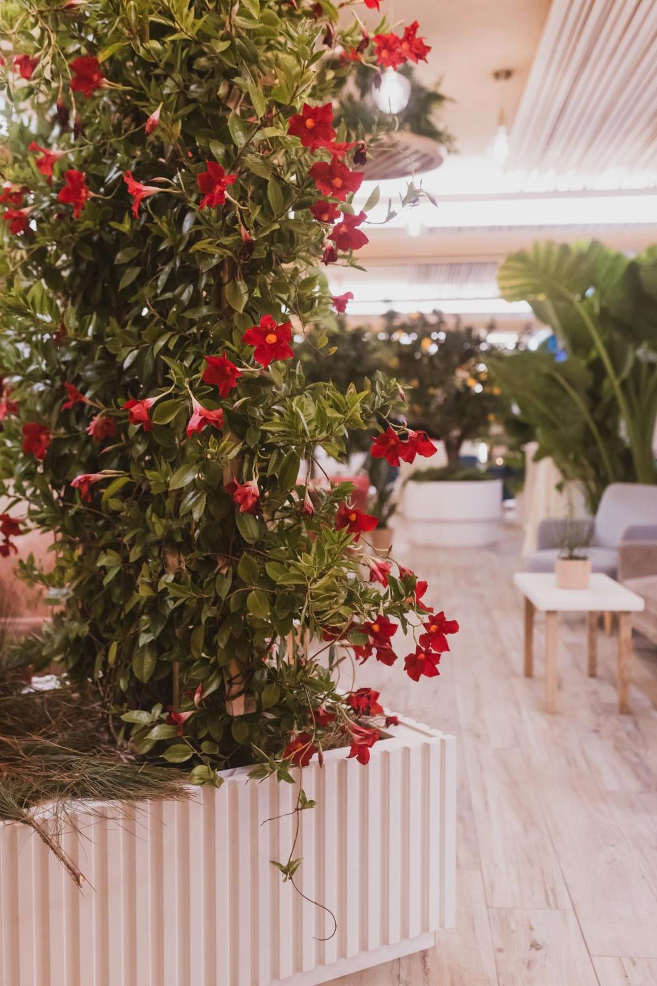 Sentido Michelizia Tropea Resort المظهر الخارجي الصورة